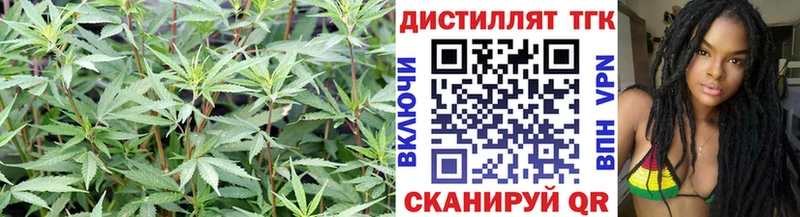 Дистиллят ТГК жижа  Купить  Долгопрудный 