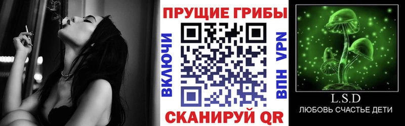 Галлюциногенные грибы Psilocybe  Купить где  Долгопрудный 